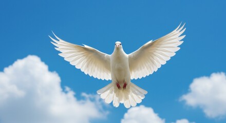Obraz premium Majestic white dove soaring in a bright blue sky with fluffy clouds