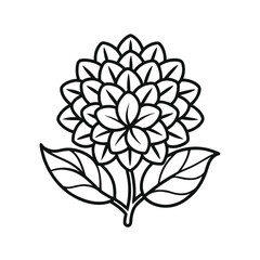 Elegant Line Art Flower Illustration  A Detailed Vector Design of a Hydrangea-like Bloom Perfect for Invitations, Logos, and More