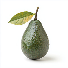 avocado on white background