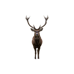 Realistic Brown Deer with Large Antlers