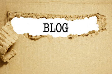 Torn cardboard, brown, in the torn place - blog.