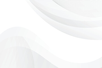 background with abstract light gray and white line curve smooth modern wave texture with space background vector illustration