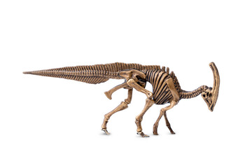 Parasaurolophus fossil skeleton model miniature toy isolated on white background. © Panupong
