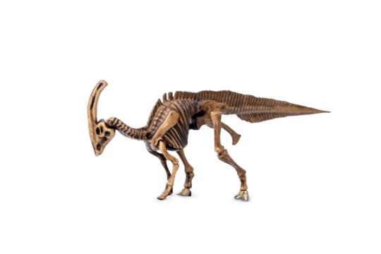 Parasaurolophus fossil skeleton model miniature toy isolated on white background.