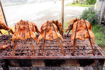 Kai Yang Wichian Buri Whole grilled chicken marinated in traditional spices on the charcoal stove on stalls are located on the roadside is very Popular Street food of Thailand.