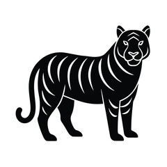 zebra vector illustration
