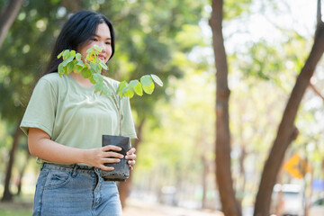 Young Woman Carrying a Tree Sapling for Planting, Female Volunteer Participating in Reforestation Project, Happy Girl Nurturing a Green Plant in a Park