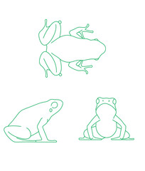 Adobe Illustrator Artwork