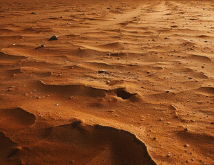 Desert Sand Textures and Dune Landscapes Collection