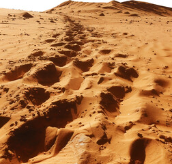 Desert Sand Textures and Dune Landscapes Collection