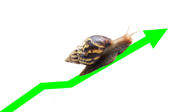 Snail travel along the green arrow line of business chart isolated on transparent background, Victory and success from patience, Slow economic growth 