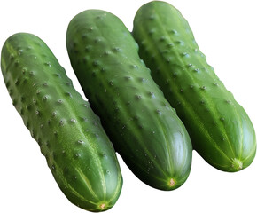Fresh Green Cucumbers – Whole and Sliced