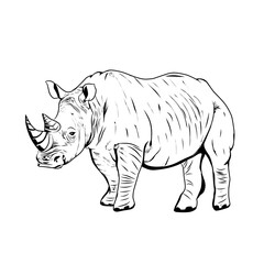 High-quality black and white vector illustration of a rhinoceros, hand-drawn with fine lines and detailed texture making it perfect for use in educational materials
