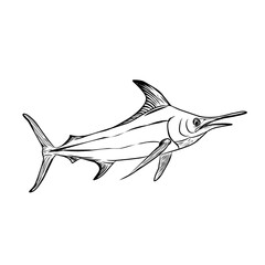 Detailed black and white vector illustration of a marlin fish (swordfish), created in a hand-drawn line art style ideal for use in fishing-themed designs, seafood restaurant branding, nautical prints