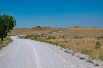 Open gravel road winding through a grassy landscape under a clear blue sky in rural America on a sunny afternoon