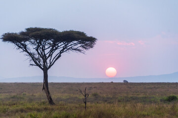 Telephoto of a sunset over the Serengeti, Tanzania