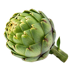 An artichoke whole isolated on a transparent background
