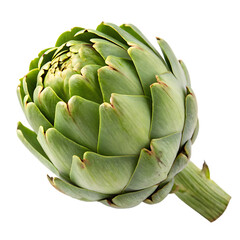 An artichoke whole isolated on a transparent background
