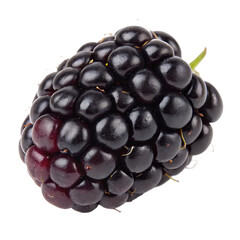 A  blackberry single isolated on a transparent background
