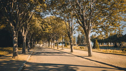 Golden avenue of trees in Borely Park, Parc Borély, Marseille, Marseilles, France. Urban nature, summer sunlight, fine art landscape photography