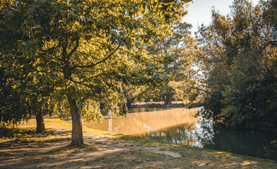 Golden light on lakeside trees in Borely Park, Parc Borély, Marseille, Marseilles, France. Peaceful nature scene with summer reflections and tranquil atmosphere