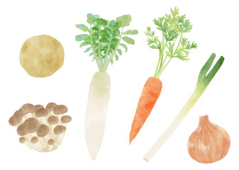 Hand-Painted Japanese Cooking Vegetable Set – Isolated on White

