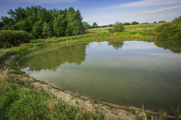 pond in summer in the wild