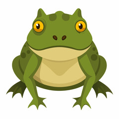 green eyed tree frog