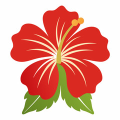 red hibiscus flower © Design