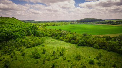 aero landscape of a green summer forest