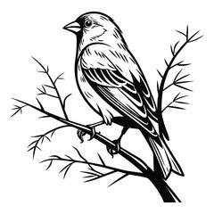 Fototapeta premium Colorful robin perches on a wild tree branch, a small red-breasted songbird in nature