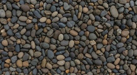 Natural Stone Texture A Collection of Smooth and Rough Pebbles