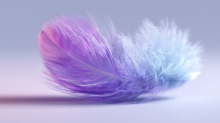 Obraz premium colorful feather, soft light pastel feather, minimal composition, soft lighting