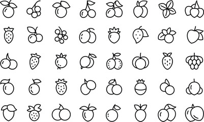 Fototapeta premium Minimalist fruit icons set line art illustration different types