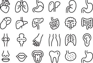 Medical organs line icon set. Vector pictograms of anatomy, body parts, kidney, bladder, pancreas, intestine, thyroid, pelvis, skeleton, joint, hand, nose, mouth, tongue, thin linear icon illustration