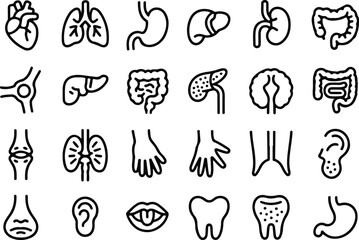 Medical organs line icon set. Vector pictograms of anatomy, body parts, kidney, bladder, pancreas, intestine, thyroid, pelvis, skeleton, joint, hand, nose, mouth, tongue, thin linear icon illustration