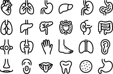 Medical organs line icon set. Vector pictograms of anatomy, body parts, kidney, bladder, pancreas, intestine, thyroid, pelvis, skeleton, joint, hand, nose, mouth, tongue, thin linear icon illustration
