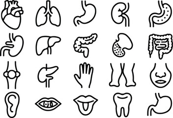 Medical organs line icon set. Vector pictograms of anatomy, body parts, kidney, bladder, pancreas, intestine, thyroid, pelvis, skeleton, joint, hand, nose, mouth, tongue, thin linear icon illustration