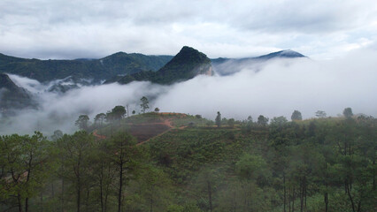 Aerial view from drone of greenery mountains and forest on foggy morning