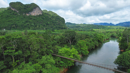 Aerial view of the bridge over the river with the greenery rainforest and mountains