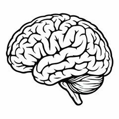 Brain Hand Drawn 