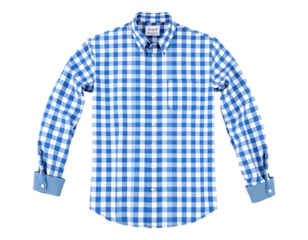 Blue and White Gingham Long Sleeve Button-Down Shirt