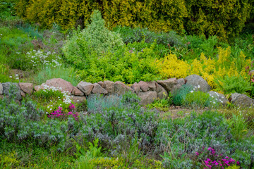 A vibrant garden bursts with colorful flowers and lush greenery, creating a lively atmosphere