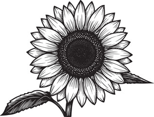 Elegant Sunflower Woodcut, A Classic Black and White Botanical I