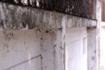 Close-up of the cracked cement on the fence wall