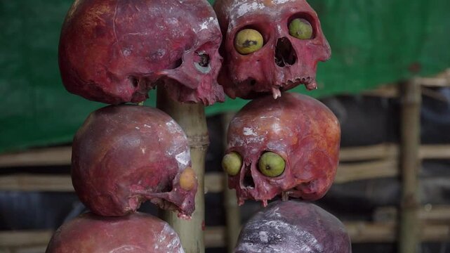 Aghori post-mortem ceremony ritual skulls close up inside aghori shelter, Varanasi