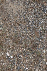 Textural gravelly surface with interspersed greenery and earthy ground