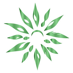 green leaf vector view of a leaf's beautiful structure in vector art