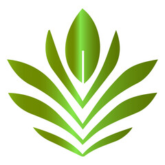 A premium leaf illustration with the rich, warm feel of polished wood