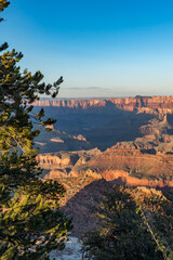 Breathtaking views of the Grand Canyon at sunset, highlighting dramatic cliffs, colorful rock layers, and soft golden light filtering through pine trees.